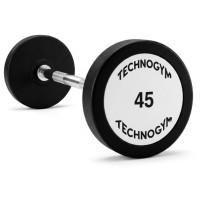 Штанга пряма цілісна Technogym 45 кг, код: 131555-AX