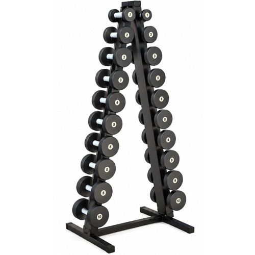 Ряд гантельний BioGym Black 1-10 кг (10 пар зі стійкою), код: 055095-RN