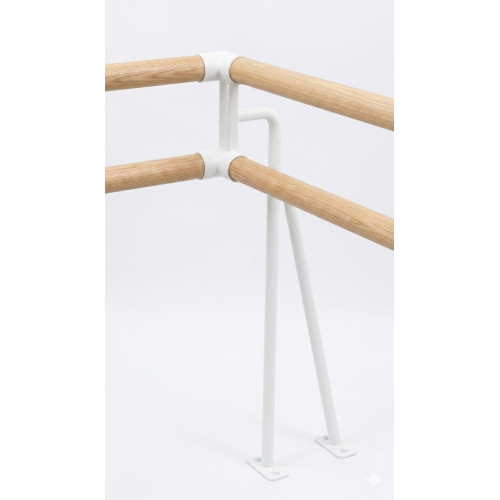 Кронштейн дворядний кутовий підлоговий Atletic, код: SS00210-LD