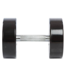 Гантель цілісна професійна Life Fitness 1х22 кг, код: SC-80081-22