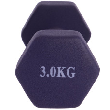 Гантелі для фітнесу BioGym Веселка з неопреновим покриттям 1x3 кг фіолетовий, код: TA-0001-3_V-S52