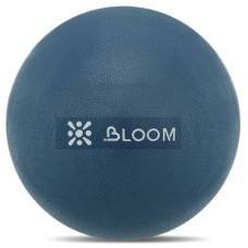 М"яч для пілатесу та йоги Mini Pilates Ball Bloom 30 см, синій, код: LB7000-30_BL