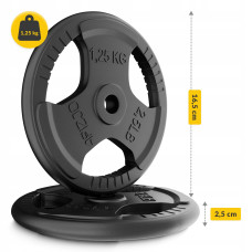 Диск металевий 4Fizjo 26 мм, 2x1,25 кг, чорний, код: P-5905973401357