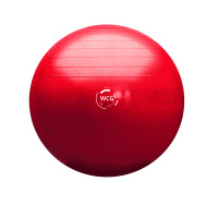 М"яч для фітнесу (фітбол) WCG 75 Anti-Burst 300кг, рожевий, код: W-000-75-IF