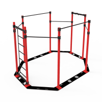 Спортивний комплекс BioGym 4140х3760х2400 мм, код: SS-1