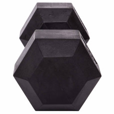 Гантель цільна шестигранна гексагональна Zelart 1х20 кг, код: TA-5159-20