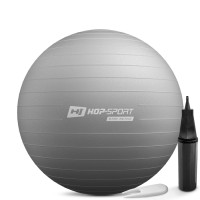 Фітбол Hop-Sport 65см сірий + насос, код: 5902308235878