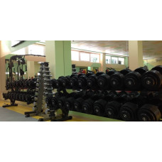 Хромований гантельний ряд Fitnessport D-04 1-10 кг (10 пар) 110 кг, код: 10083-AX