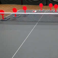 Тренувальний набір для настільного тенісу Gewo Flip-Paddle Set, код: 931316-SVA