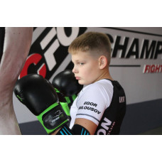Боксерські рукавиці PowerPlay JR Classic 8 унцій, чорний-зелений, код: PP_3004JR_8oz_Black/Green