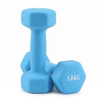 Гантелі для фітнесу FitGo неопрен, 2x1 кг, блакитний., код: 80024-N1LB