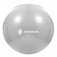 М"яч для фітнесу (фітбол) Springos Anti-Burst 750 мм, сірий, код: FB0008