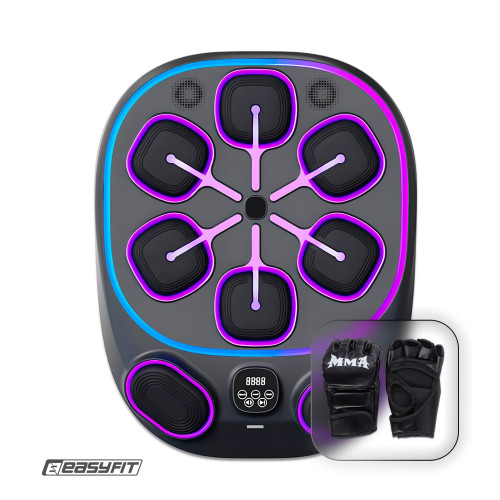 Настінний боксерський тренажер EasyFit з аперкотами (музичний бокс), код: EF-0353
