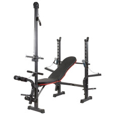 Лава для жиму BioGym під штангу, код: 205D-WS