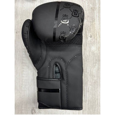 Боксерські рукавички FGT 12oz, чорний, код: FT-3310/123-WS