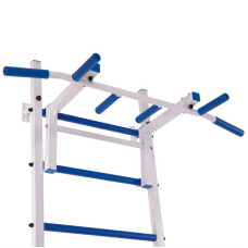 Шведська стінка-стійка BioGym Тонус 5 білий, код: L-2404-S52