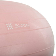 Фітбол м'яч для балансу Пончик сатин Bloom 550 мм, рожевий, код: LB7050_P