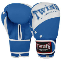 Боксерські рукавиці Twins PVC 12 унцій, синій, код: BO-9476_12BL