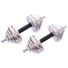 Набір гантелей розбірні BioGym в кейсі 30 кг, код: TA-80047-30-S52
