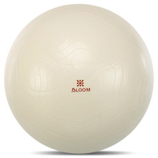 Фітбол м"яч для фітнесу сатин Bloom ø75см, коричневий, код: LB7051-75