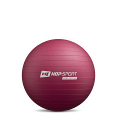 Фітбол Hop-Sport 45см HS-R045YB сливовий + насос, код: 5902308235854
