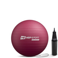 Фітбол Hop-Sport 45см HS-R045YB сливовий + насос, код: 5902308235854