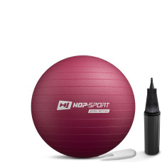 Фітбол Hop-Sport 45см HS-R045YB сливовий + насос, код: 5902308235854