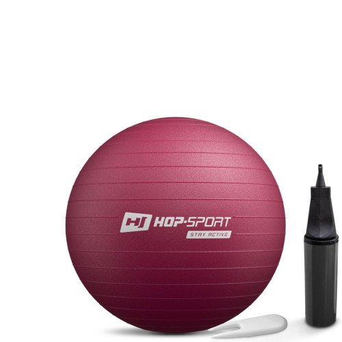 Фітбол Hop-Sport 45см HS-R045YB сливовий + насос, код: 5902308235854