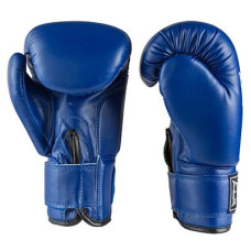 Боксерські рукавички Everlast 8oz, синій, код: EVDX380-8B-WS