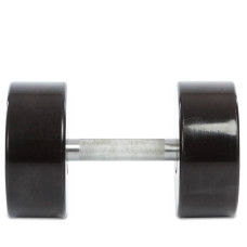 Гантель цілісна професійна Life Fitness 1х30 кг, код: SC-80081-30