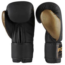 Боксерські рукавички FGT 10oz, чорний-золото, код: FT-2560/10-WS