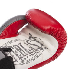 Рукавички боксерські Everlast 10 унцій, червоний, код: EV-009B_10R