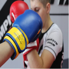 Боксерські рукавиці PowerPlay JR синьо-жовті 8 унцій, код: PP_3004JR_8oz_Blue/Yellow