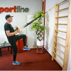 Шведська стіна Insportline Dremar 200 х 80 см, код: 8666-EI