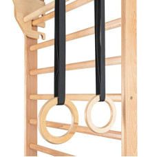 Шведська стіна з аксесуарами Insportline Steadyline 250 x 90 см, код: 22521-SADA1-IN