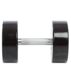 Гантель цілісна професійна Life Fitness 1х24 кг, код: SC-80081-24
