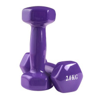 Гантелі для фітнесу FitGo вініл, 2x2 кг, фіолетовий., код: 80022-V2V
