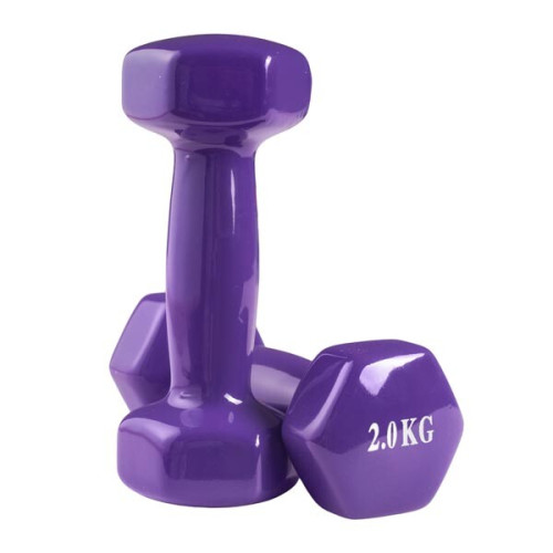 Гантелі для фітнесу FitGo вініл, 2x2 кг, фіолетовий., код: 80022-V2V
