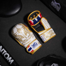 Рукавиці для ММА Phantom Muay Thai White Gold S/M, код: PHMMAG2706-SM
