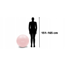 М"яч для фітнесу (фітбол) 4Fizjo 65 см Anti-Burst Pink, код: P-5907739317384