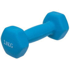 Гантелі FitGo 1х2 кг рожевий, код: TA-0001-2_P