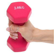 Гантелі FitGo 1х2 кг рожевий, код: TA-0001-2_P