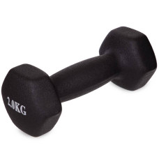 Гантелі FitGo 1х2 кг рожевий, код: TA-0001-2_P
