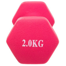 Гантелі FitGo 1х2 кг рожевий, код: TA-0001-2_P