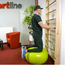 Шведська стінка Insportline Steadyline 2000x900 мм, , код: 22516-IN