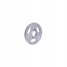Диск чавунний inSPORTline Hamerton 1,25 кг, код: 12708-IN