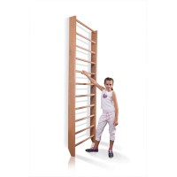 Шведська стінка SportBaby «Baby 0-240», код: Baby 0-240