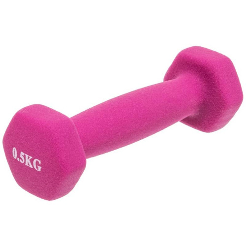 Гантель для фітнесу FitGo Веселка 1x0,5 кг, фіолетовий, код: TA-0001-0_5_V-S52