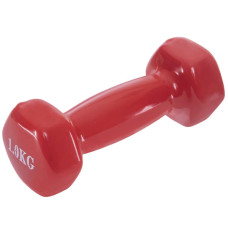 Гантелі для фітнесу FitGo Веселка з неопреновим покриттям 1x1 кг блакитний, код: TA-0001-1_N-S52