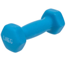 Гантелі для фітнесу FitGo Веселка з неопреновим покриттям 1x1 кг блакитний, код: TA-0001-1_N-S52